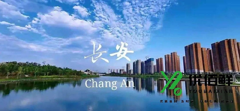 西安(ān)長(cháng)安(ān)區(qū)蔬菜配送